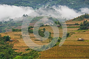 Rice fields on terraced in rainny season at Mu Cang Chai, Yen Bai, Vietnam.