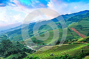 Rice fields on terraced in rainny season at Mu Cang Chai, Yen Bai, Vietnam