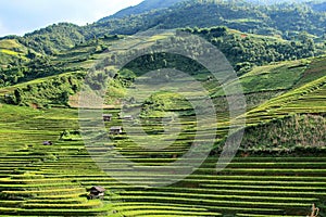 Rice fields on terraced in rainny season at Mu Cang Chai, Yen Bai, Vietnam