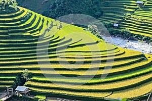 Rice fields on terraced in rainny season at Mu Cang Chai, Yen Bai, Vietnam.