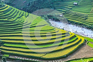 Rice fields on terraced in rainny season at Mu Cang Chai, Yen Bai, Vietnam.