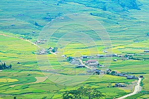 Rice fields on terraced in rainny season at Mu Cang Chai, Yen Bai, Vietnam.