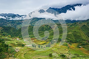 Rice fields on terraced in rainny season at SAPA, Lao Cai, Vietnam.