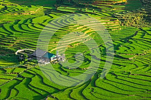 Rice fields on terraced in rainny season at SAPA, Lao Cai, Vietnam.