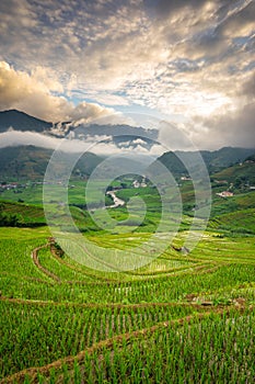 Rice fields on terraced in rainny season at SAPA, Lao Cai, Vietnam.