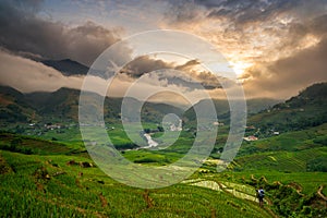 Rice fields on terraced in rainny season at SAPA, Lao Cai, Vietnam.