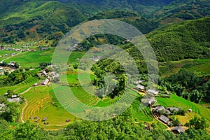 Rice fields on terraced in rainny season at SAPA, Lao Cai, Vietnam.