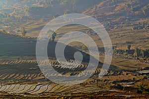 Rice fields on terraced in SAPA, Lao Cai, Vietnam.