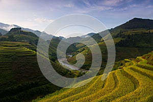 Rice fields on terraced in sunset at Mu Cang Chai, Yen Bai, Vietnam