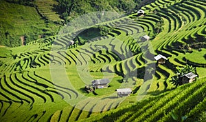 Rice fields on terraced in sunset at Mu Cang Chai, Yen Bai, Vietnam