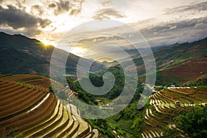 Rice fields on terraced in sunset at Mu Cang Chai, Yen Bai, Vietnam.