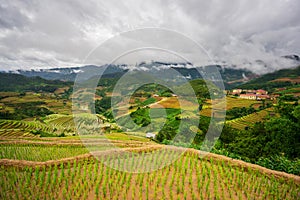 Rice fields on terraced in sunset at Mu Cang Chai, Yen Bai, Vietnam.