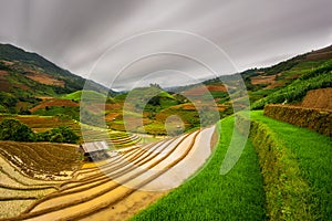 Rice fields on terraced in sunset at Mu Cang Chai, Yen Bai, Vietnam.