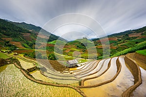 Rice fields on terraced in sunset at Mu Cang Chai, Yen Bai, Vietnam.