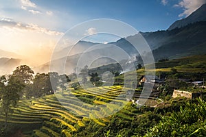 Rice fields on terraced in sunset at Sapa, Lao Cai, Vietnam.