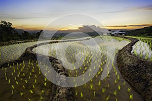 Rice fields and terraces at blue sky cloud cloudy landscape