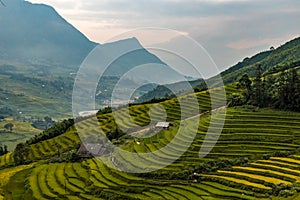 Rice fields in a valley in Vietnam