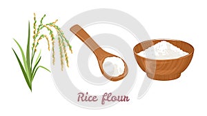 Rice flour in wooden bowl and spoon isolated on white background. Vector illustration of an ear of rice