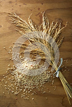 Rice grain