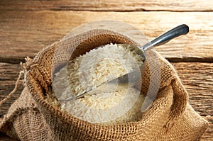 Rice Grain