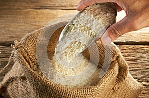 Rice Grain