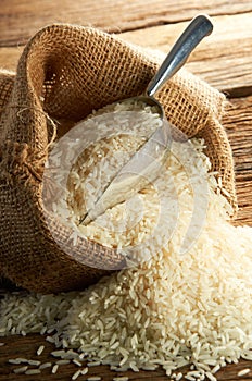 Rice Grain photo