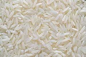 Rice grain