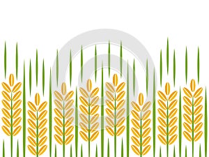 Rice grain and paddy bunch logo, circle frame vector photo