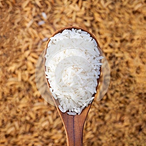 rice grain in a wooden spoon and forming a background.