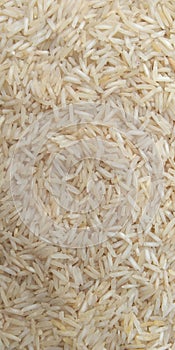 Rice grains agriculture