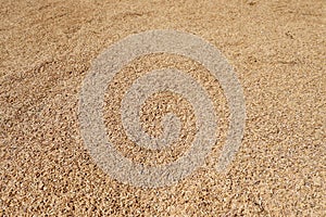 Rice grains being dried texture background