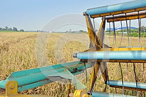 Rice harvesting part machine with rice field