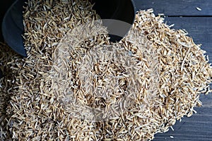 Rice husks or rice hulls are one of the best growing media for gardeners