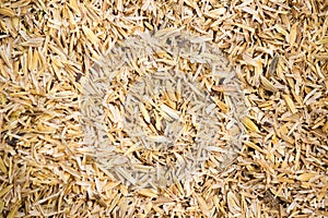 Rice husk background