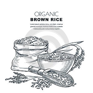 Rice label design template. Sketch vector illustration of cereal ears, bowl, wooden spoon and sack. Package background.