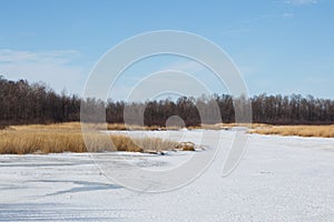 Rice Lake National Wildlife Refuge in Winter