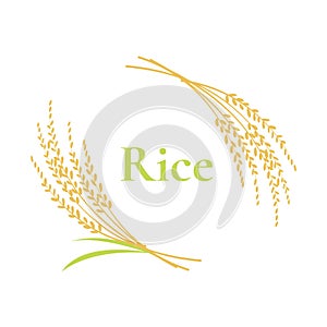 Rice logo design on white background, vector