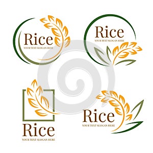 Rice logo organic grain wheat with yellow green paddy rice and leaves collection vector design