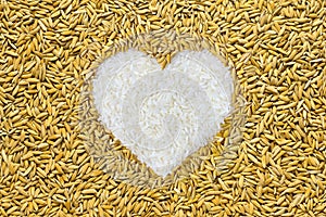 Rice lover. pile of paddy rice grain in heart shape. Stack paddy rice in heart sign show love Vegetarian, Culture life, Health