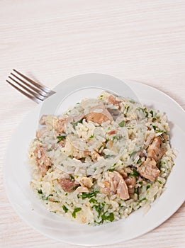 Rice with meat