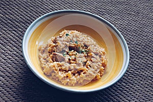 Rice meat dish with pork, served on a yellow plate