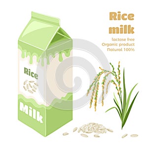 Rice milk in carton box isolated on white background. Vector illustration of plant-based drink,  rice spike and grains