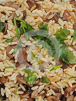 Rice with mushrooms and fresh parsley