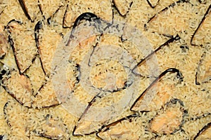 Rice and mussels