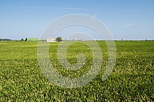 Rice paddies in the Albufera of Valencia