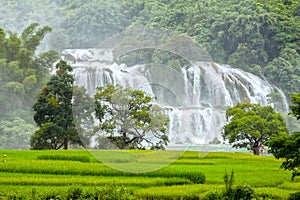 The rice paddies Ban Gioc waterfall photo