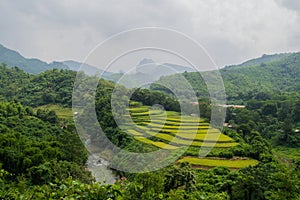 Rice Paddies in the Countryside in Laos