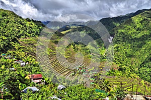 Rice paddies landscape in Philippines photo