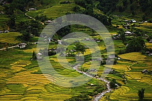 Rice paddies near Sapa, Vietnam