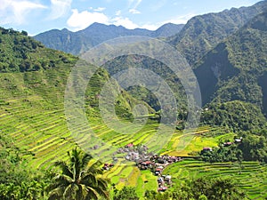 Rice paddies in the north of Luzon Island, Philippines photo